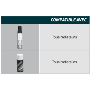 Retouches de la peinture blanche RAL 9016
